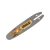 AGSB50601